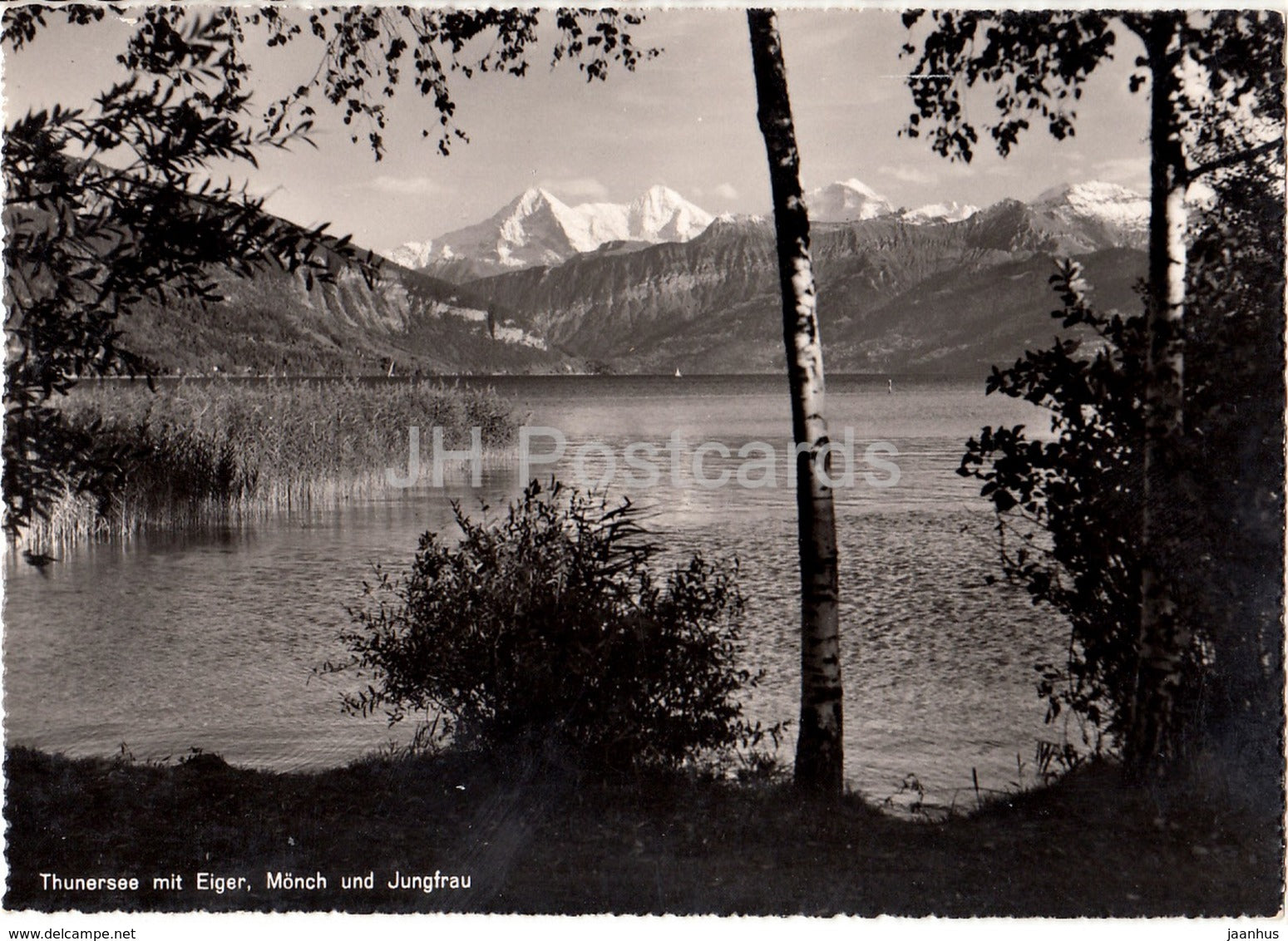 Thunersee mit Eiger - Monch und Jungfrau - 7938 - Switzerland - old postcard - unused - JH Postcards