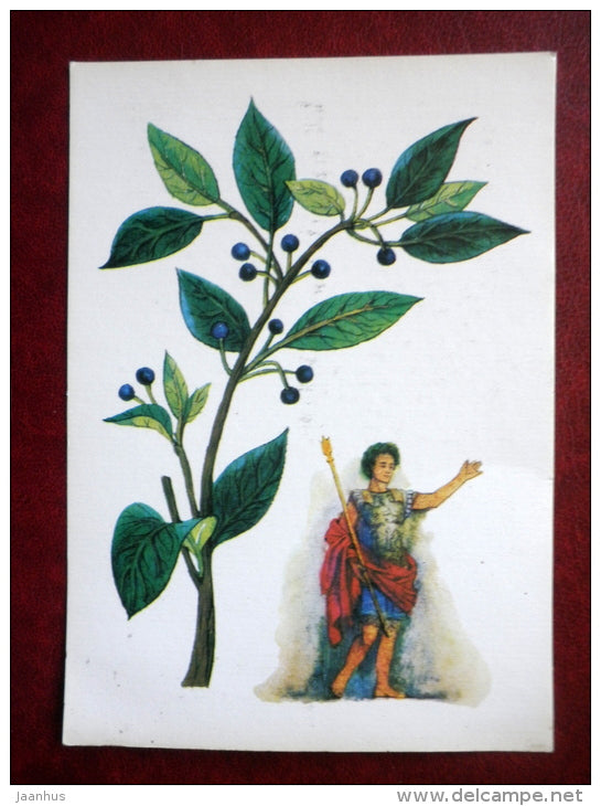 Laurel - by. N. Barbotchenko - plants - Apollon - 1986 - Russia USSR - unused - JH Postcards
