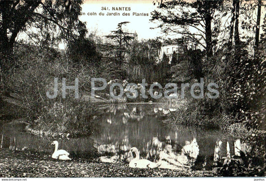 Nantes - Un coin du Jardin des Plantes - birds - swan - 341 - old postcard - 1932 - France - used - JH Postcards