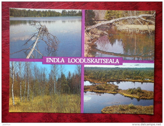 Endla Nature Reserve - multiview-card - bog Lake - high marsh - fen - 1988 - Estonia - USSR - unused - JH Postcards