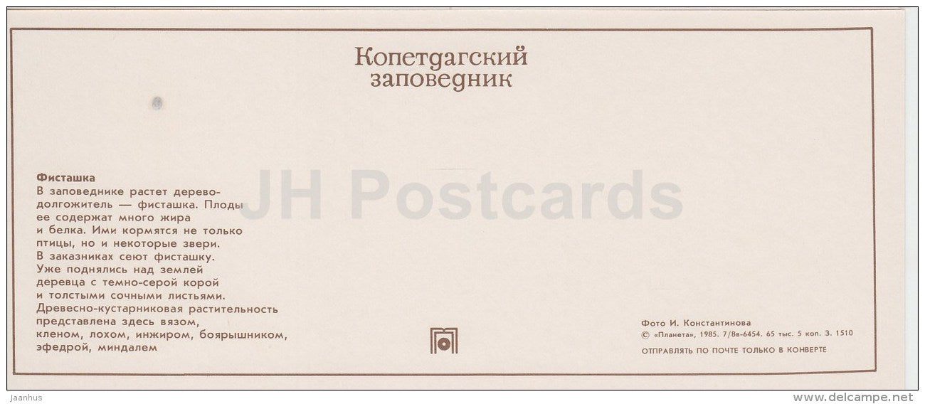 Pistacia - Kopet Dagh Nature Reserve - 1985 - Turkmenistan USSR - unused - JH Postcards
