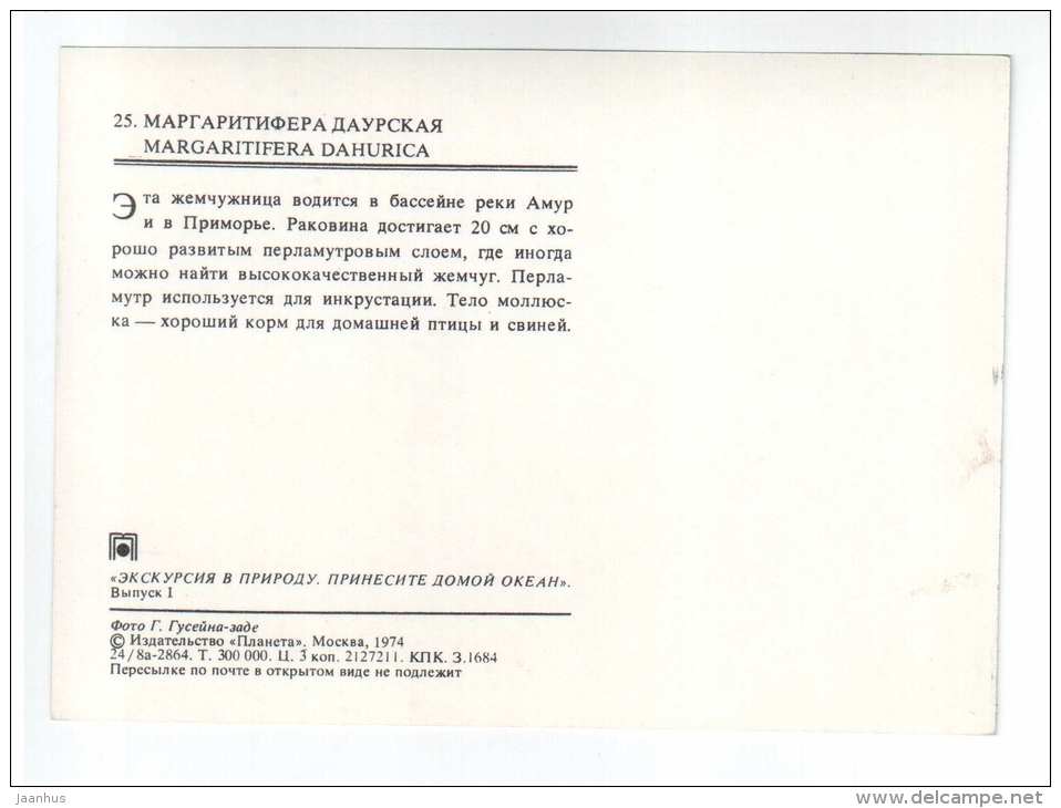 Margaritifera Dahurica - shells - clams - mollusc - 1974 - Russia USSR - unused - JH Postcards