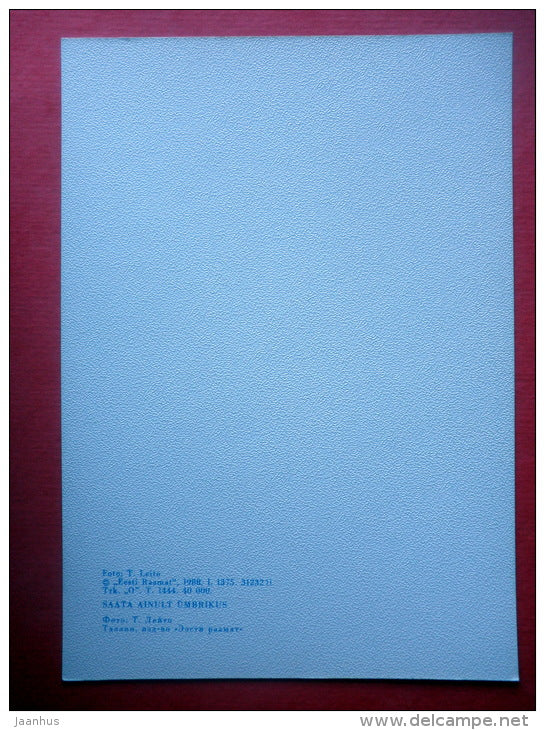 Estonia in Winter - landscape - I - 1988 - Estonia USSR - unused - JH Postcards
