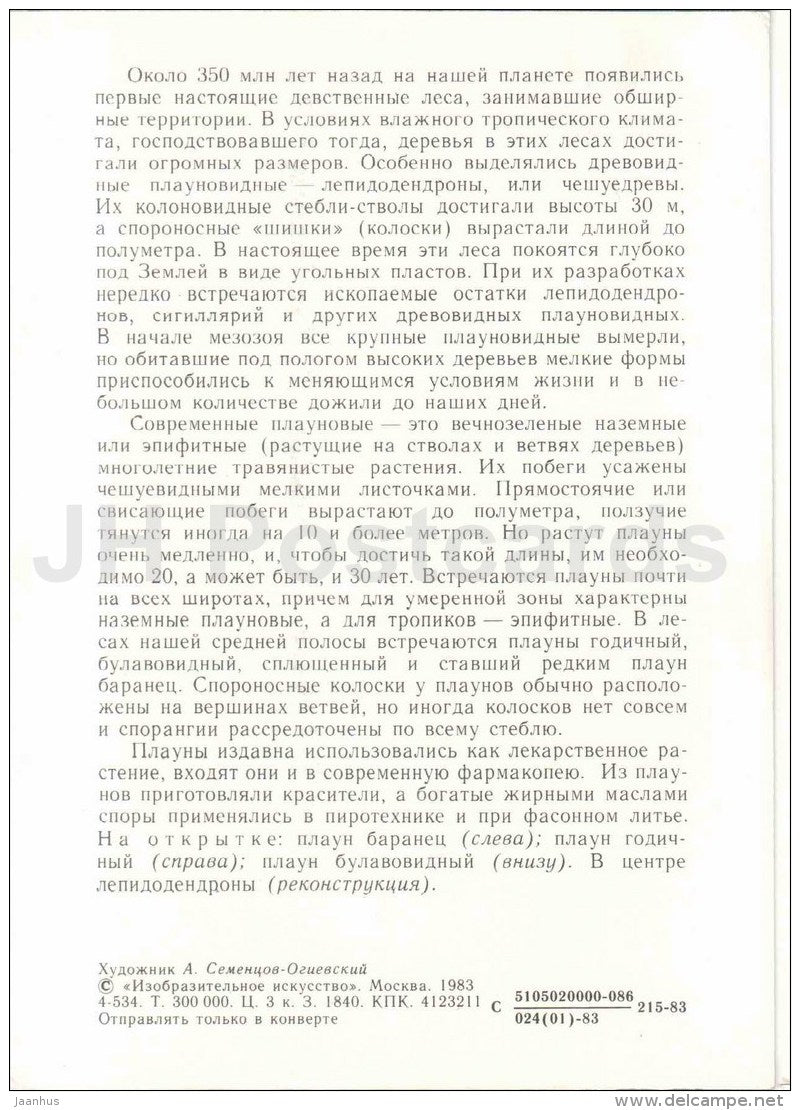 Lycopodiaceae - Protected Animals and Plants - 1983 - Russia USSR - unused - JH Postcards
