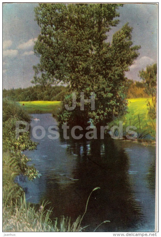 landscape - river - 1961 - Belarus USSR - unused - JH Postcards