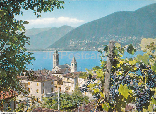 Il Gambarogno Pittoresco - Vira Gambarogno - 6042 - 1978 - Switzerland - used - JH Postcards