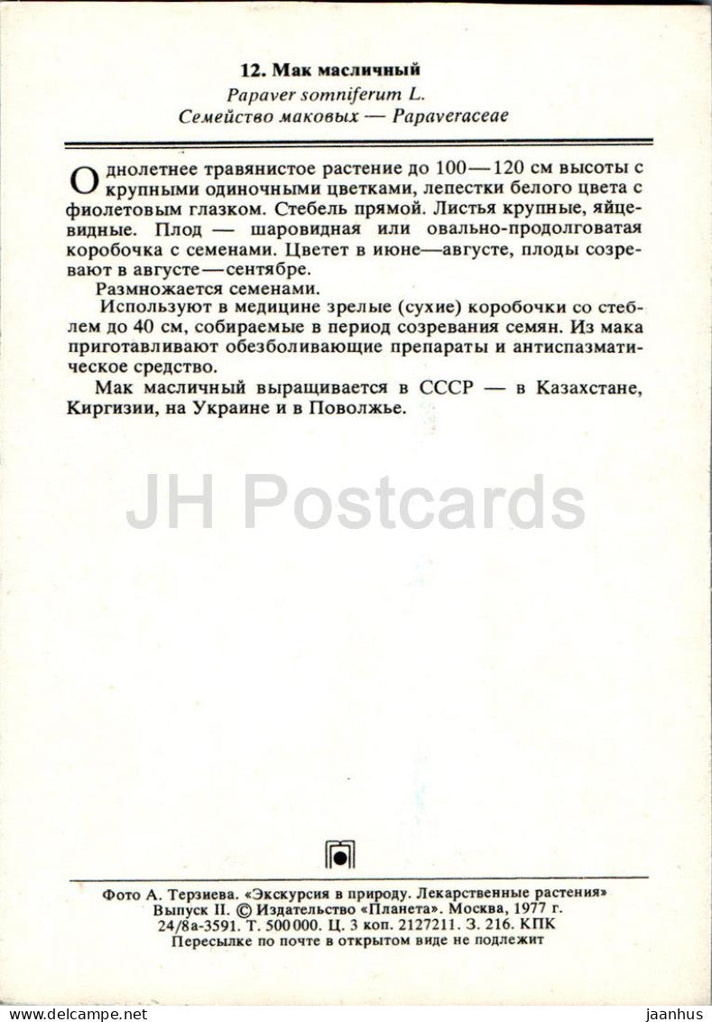 Papaver somniferum - Poppy - Medicinal Plants - 1977 - Russia USSR - unused