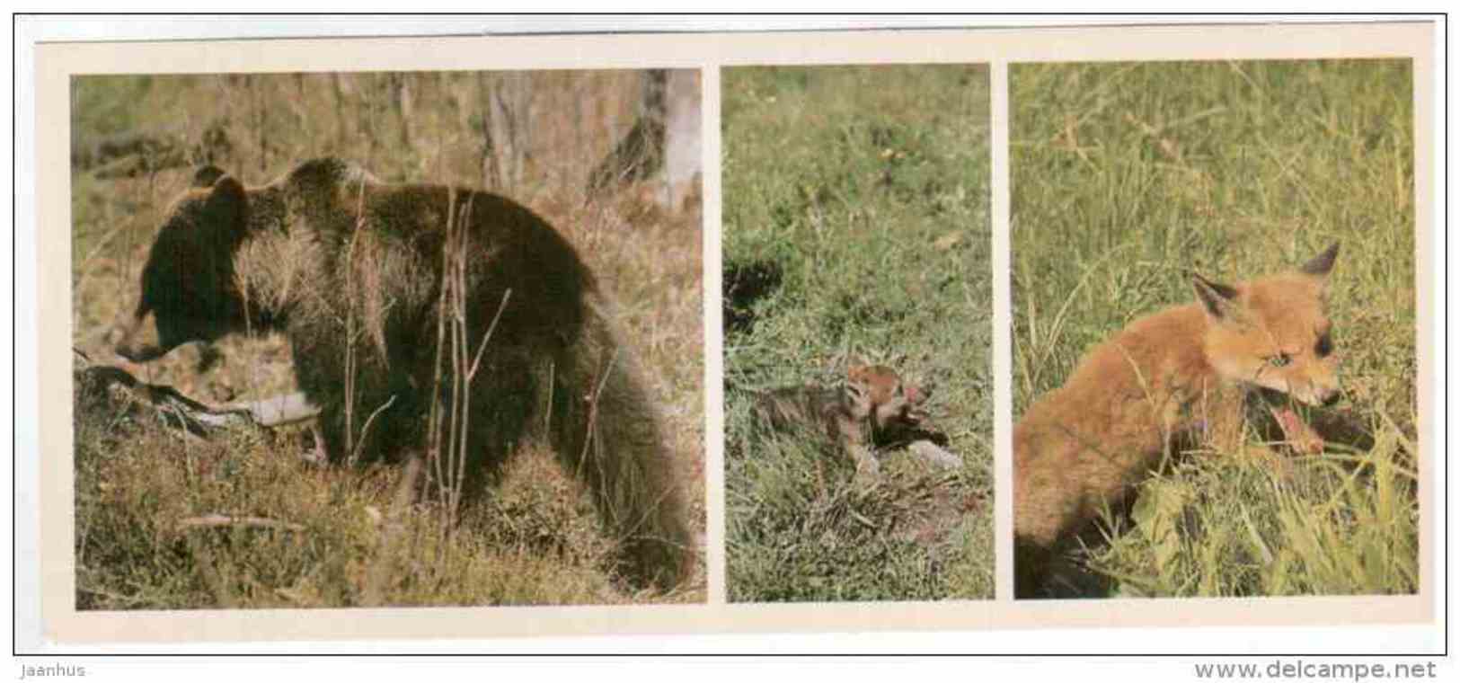 Bear - Fox - Lapland reserve - 1980 - Russia USSR - unused - JH Postcards