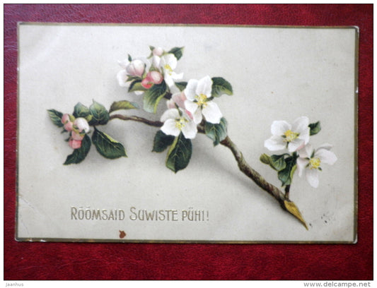 Pentecost Greeting Card - apple tree branch - cup of tea - circulated in 1914 - Estonia - Tsarist Russia - used - JH Postcards