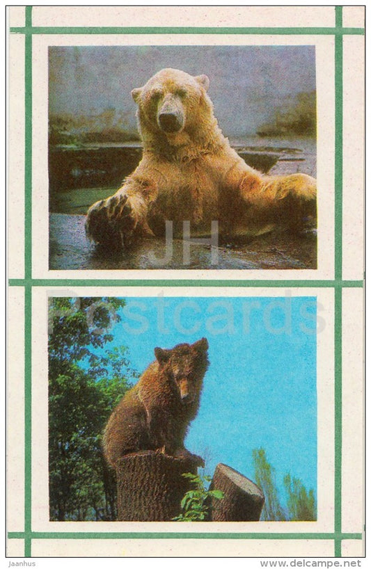 Polar Bear - Brown Bear - Kiev Kyiv Zoo - 1976 - Ukraine USSR - unused - JH Postcards