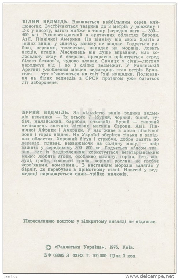 Polar Bear - Brown Bear - Kiev Kyiv Zoo - 1976 - Ukraine USSR - unused - JH Postcards