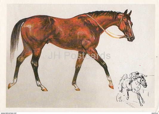 Thoroughbred Horse - illustration by A. Glukharev - horses - animals - 1988 - Russia USSR - unused - JH Postcards
