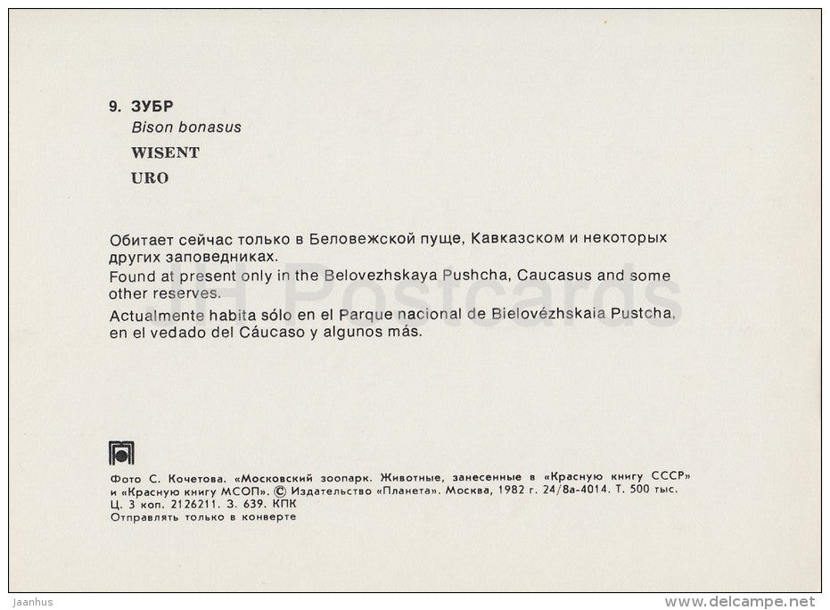 European bison - Bison bonasus - Moscow Zoo - 1982 - Russia USSR - unused - JH Postcards