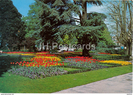 Lausanne Ouchy - Les parterres de fleurs - 5824 - Switzerland - unused - JH Postcards