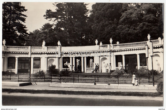 Sochi - Dendrarium - Botanical Garden - 1970 - Russia USSR - unused - JH Postcards