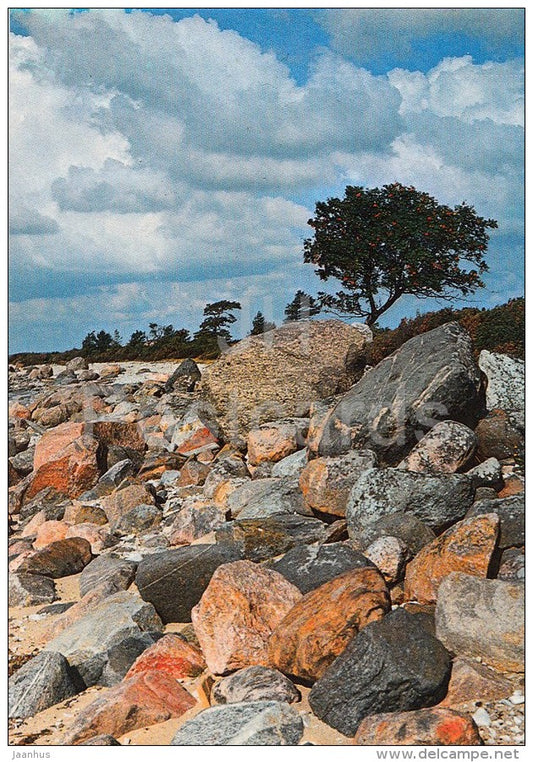 Saarnaki islet - Hiiumaa island - 1990 - Estonia USSR - unused - JH Postcards