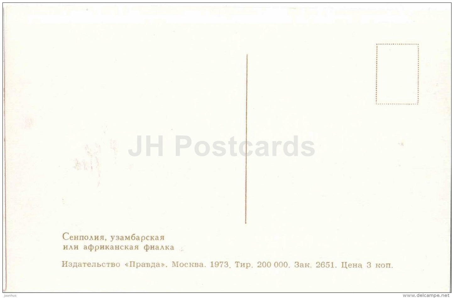 Saintpaulia - African Violets - flowers - 1973 - Russia USSR - unused - JH Postcards