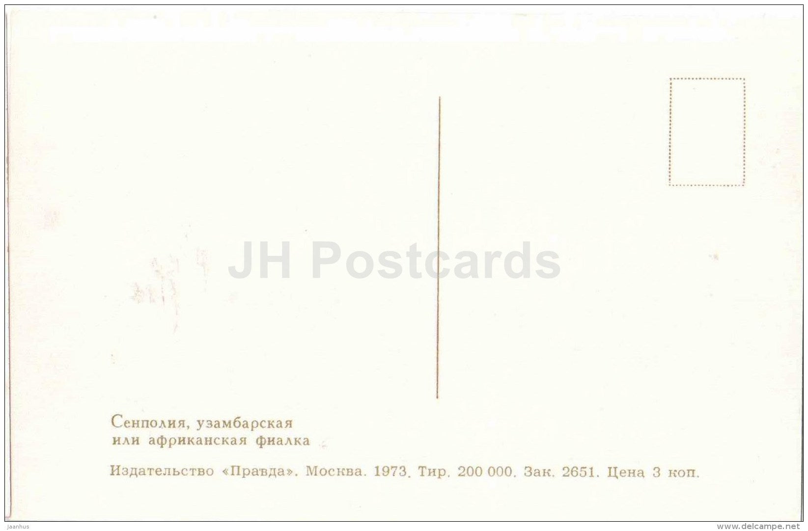 Saintpaulia - African Violets - flowers - 1973 - Russia USSR - unused - JH Postcards