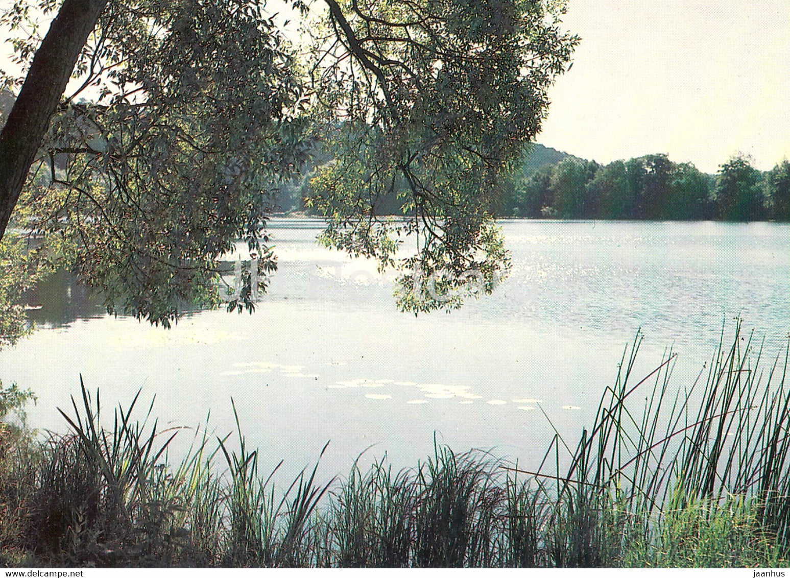 lake view - landscape - 1983 - Russia USSR - unused - JH Postcards