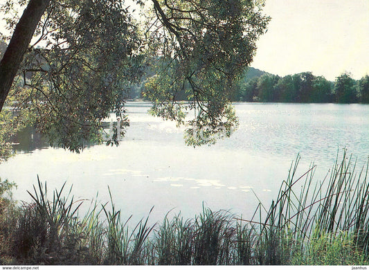 lake view - landscape - 1983 - Russia USSR - unused - JH Postcards