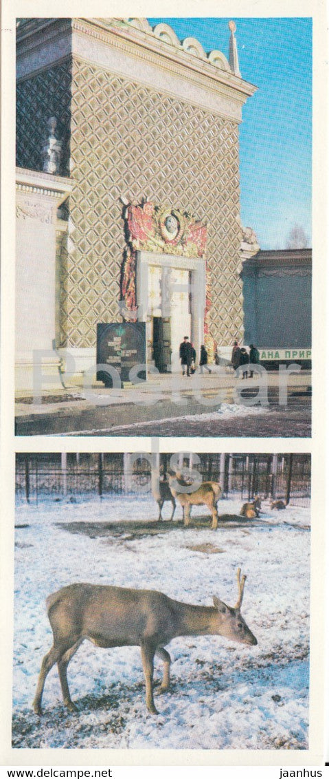 The Nature Protection in the USSR Pavilion - deer - All Soviet Exhibition Center - VDNKh - 1975 - Russia USSR - unused - JH Postcards