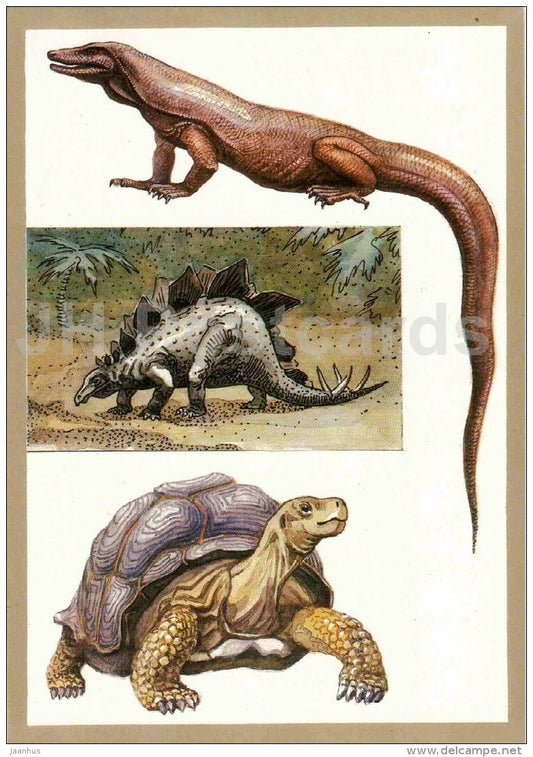Komodo dragon - lizard - Stegosaurus - dinosaur - tortoise - Protected Animals and Plants - 1983 - Russia USSR - unused - JH Postcards