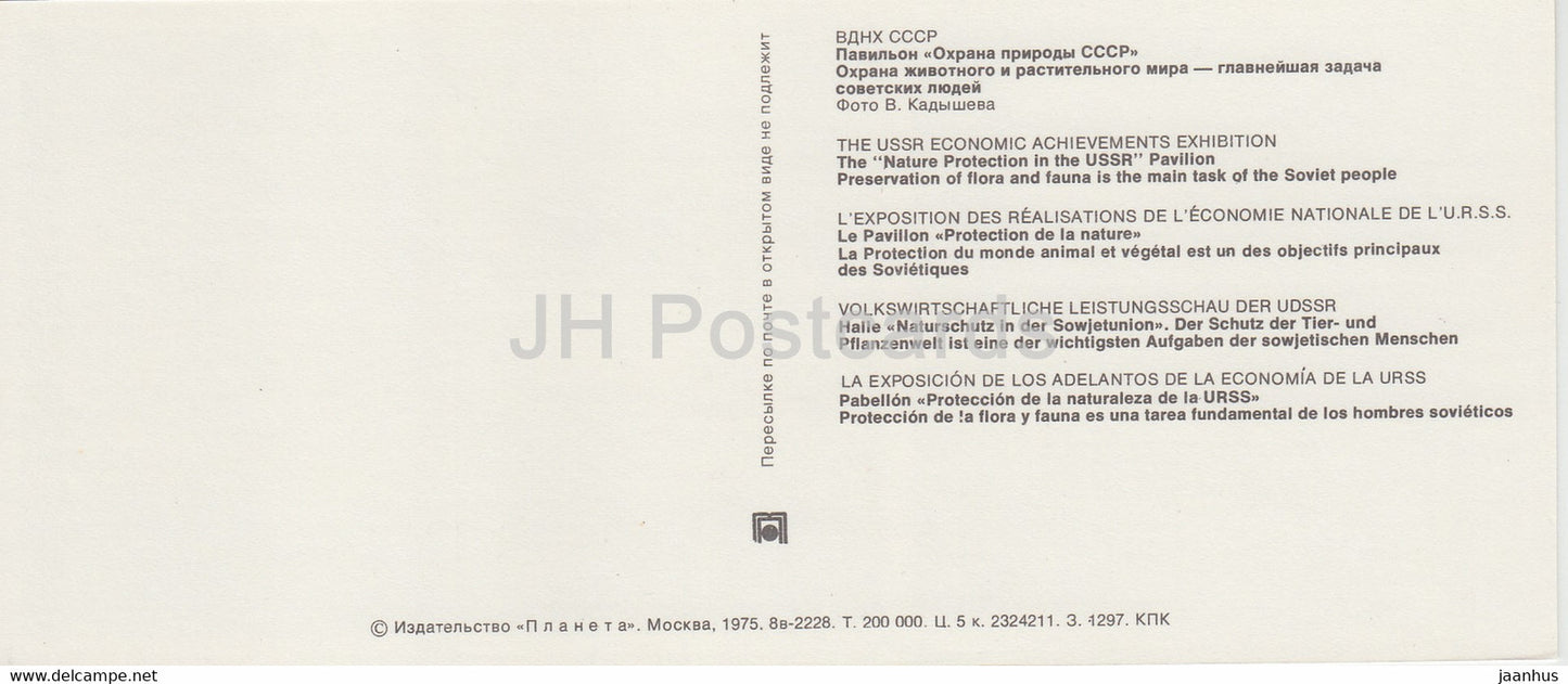 The Nature Protection in the USSR Pavilion - deer - All Soviet Exhibition Center - VDNKh - 1975 - Russia USSR - unused