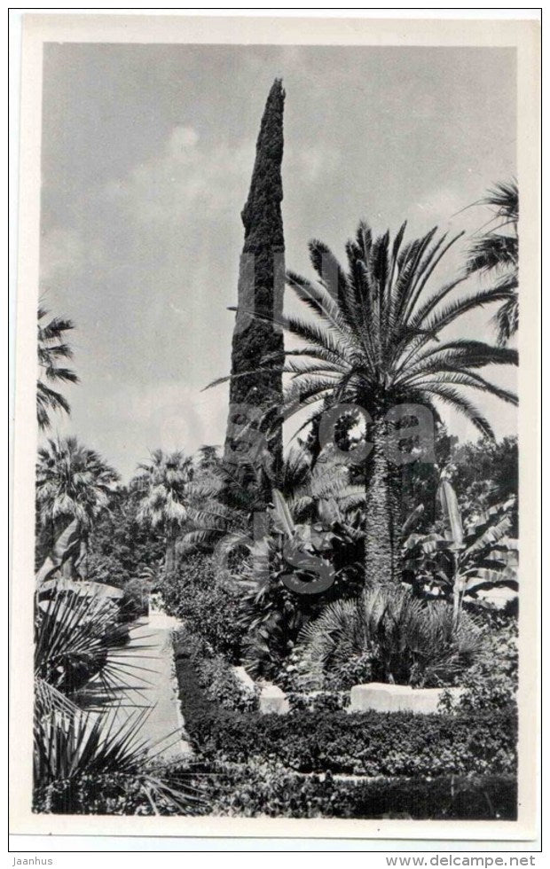 dendrarium - corner in the park - Sochi - photo card - 1960 - Russia USSR - unused - JH Postcards