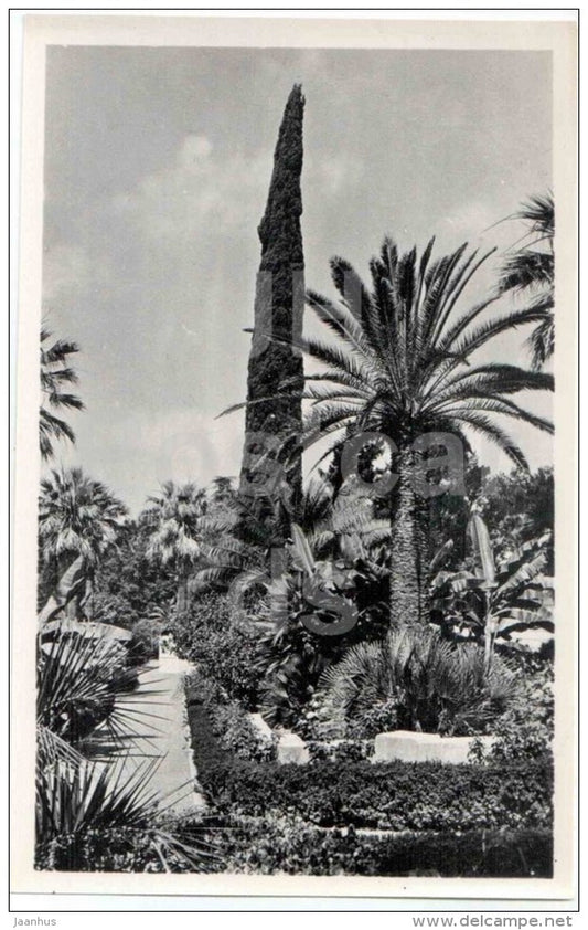 dendrarium - corner in the park - Sochi - photo card - 1960 - Russia USSR - unused - JH Postcards