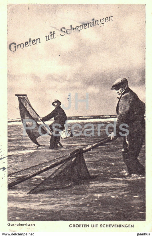Groeten uit Scheveningen - Garnalenvissers - Shrimp fishermen - old postcard - 1948 - Belgium - used - JH Postcards