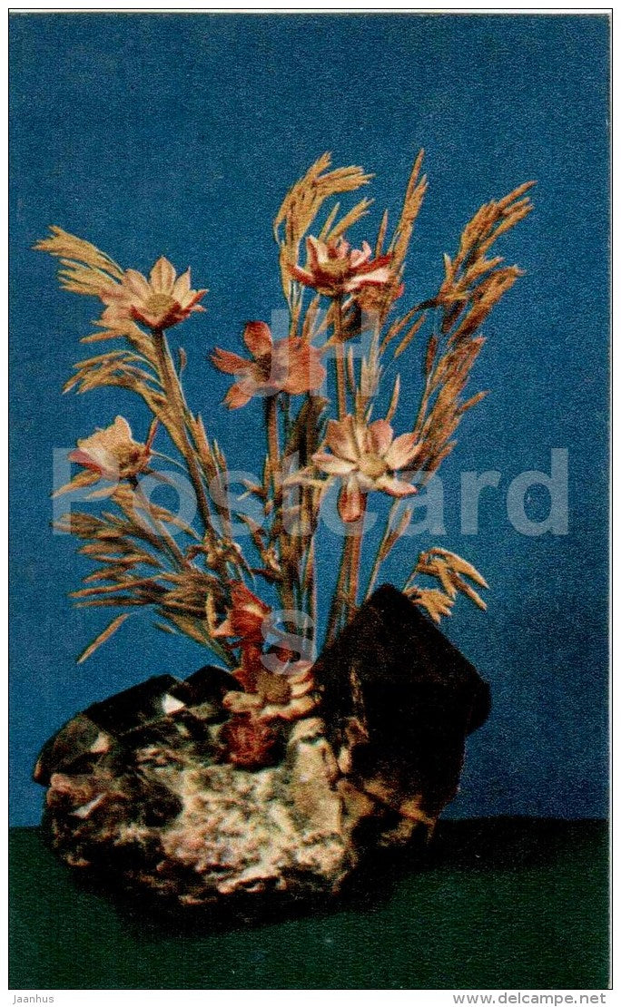 harsh Urals - Nature and Fantasy - wooden figures - 1969 - Russia USSR - unused - JH Postcards