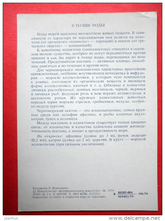 Bottlenose dolphin - crustacean Acartia - Spiny dogfish - Marine Life - 1979 - Russia USSR - unused - JH Postcards