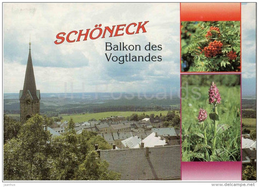 Schöneck , Balkon des Vogtlandes - Blick vom Alten Söll nach Südwesten - Vogelbeeren - Germany - 2003 gelaufen - JH Postcards