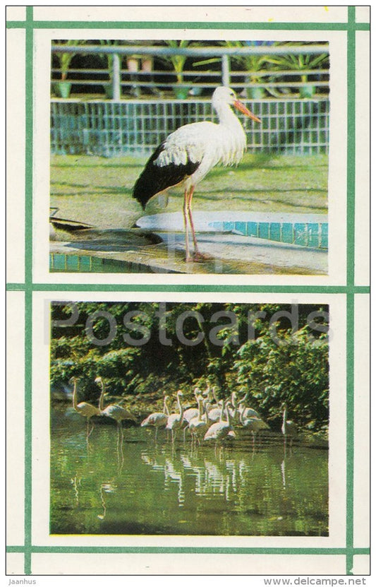 Stork - Flamingo - Kiev Kyiv Zoo - 1976 - Ukraine USSR - unused - JH Postcards