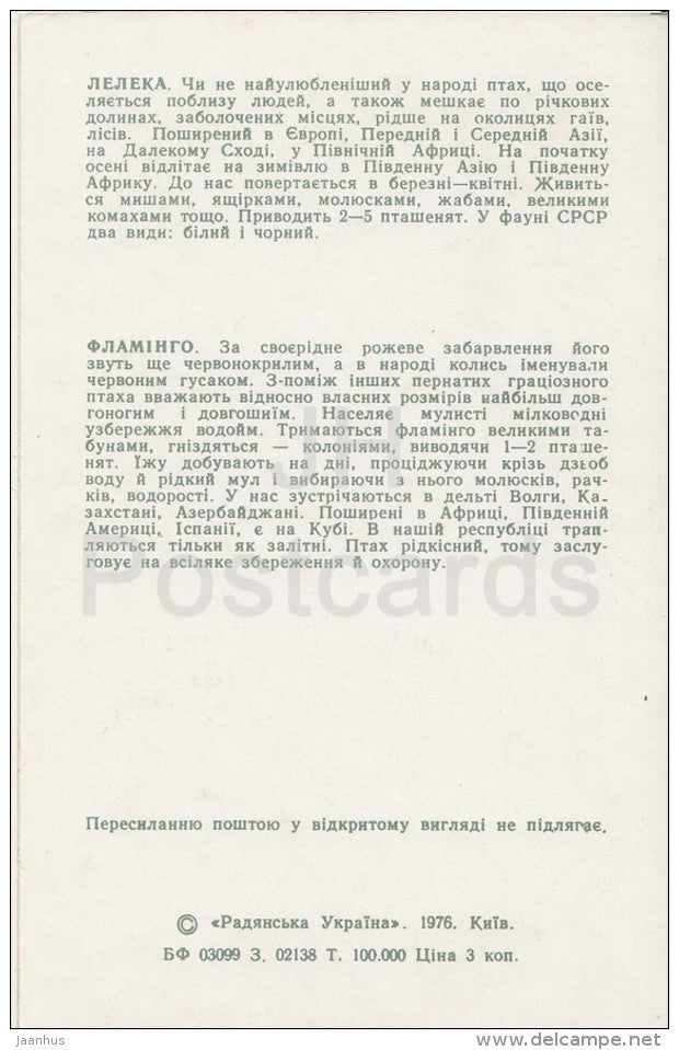 Stork - Flamingo - Kiev Kyiv Zoo - 1976 - Ukraine USSR - unused - JH Postcards