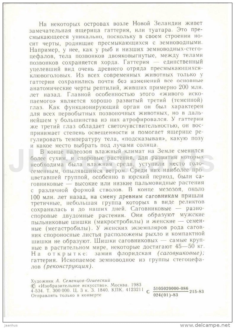 Zamia floridana - Tuatara - Stegocephalia - Protected Animals and Plants - 1983 - Russia USSR - unused - JH Postcards