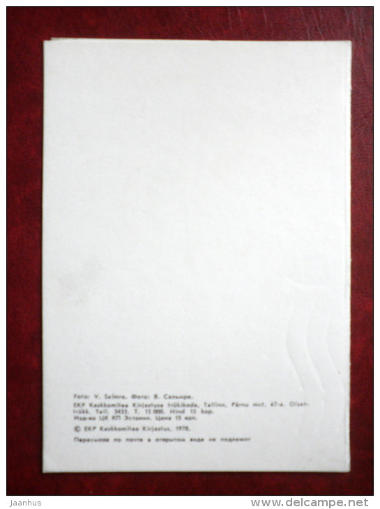 New Year Greeting card - embossed - old clock - red roses - 1978 - Estonia USSR - used - JH Postcards