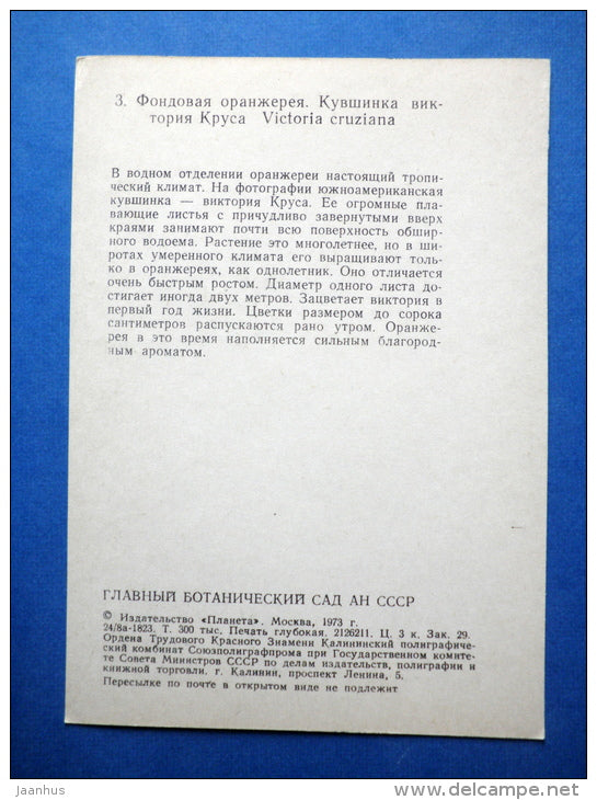 Victoria cruziana - Santa Cruz water lily - flowers - Botanical Garden of the USSR - 1973 - Russia USSR - JH Postcards