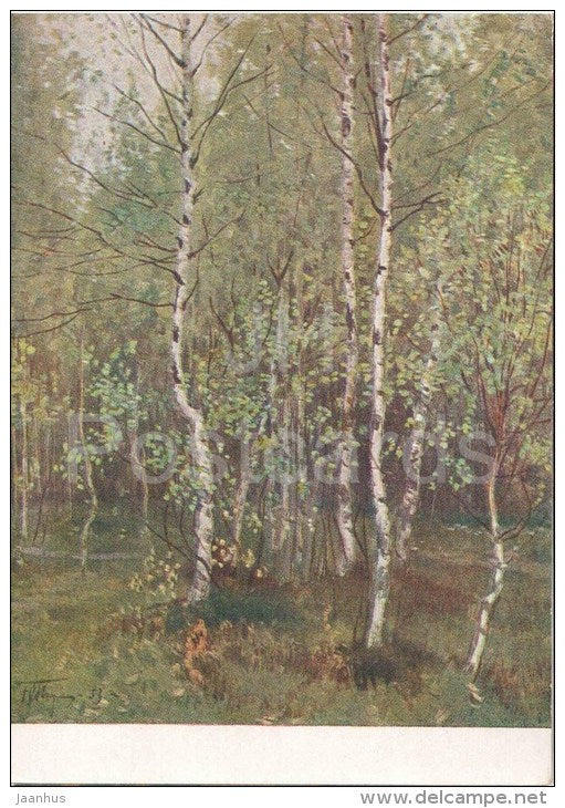 painting by Y. Podlyasky - Young Birch Trees - russian art - unused - JH Postcards