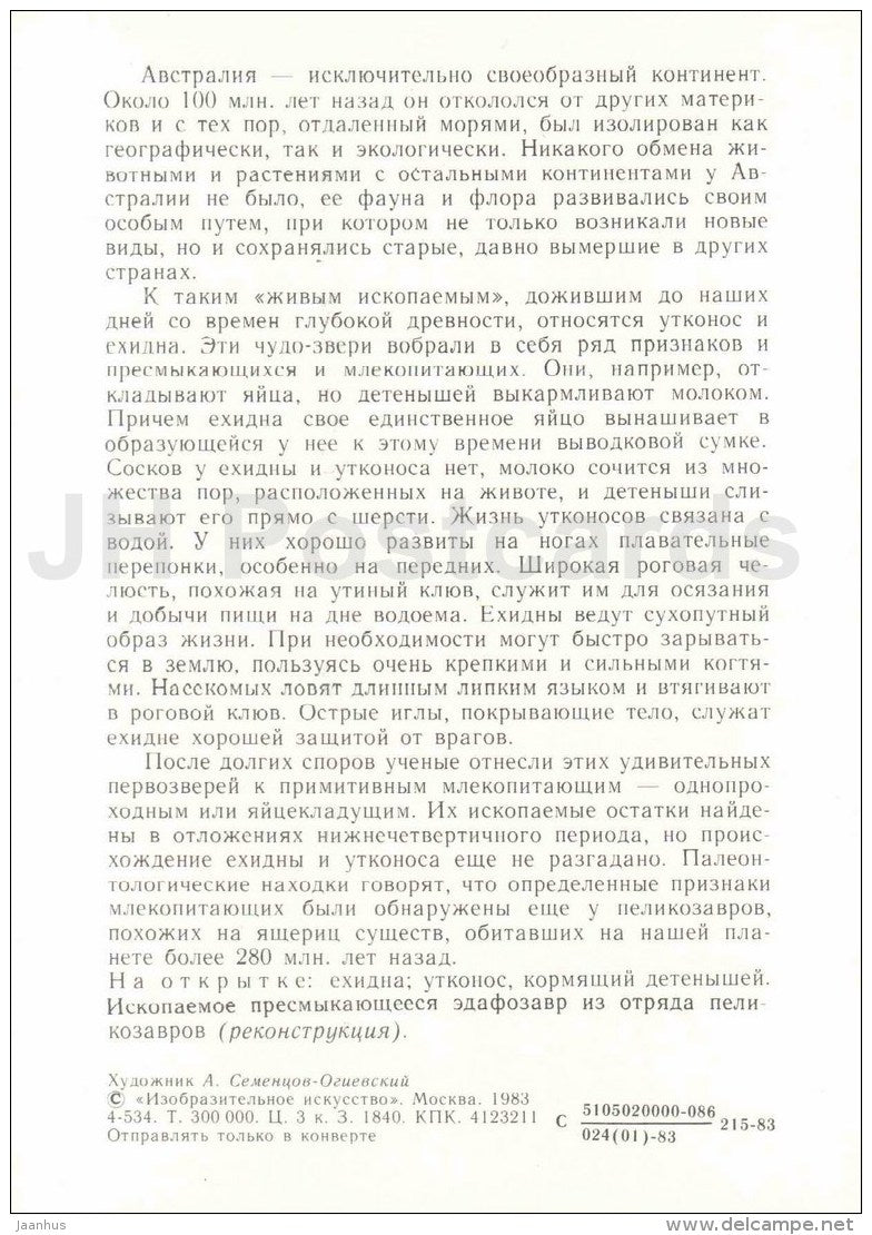 Echidna - Platypus - Edaphosauridae - Protected Animals and Plants - 1983 - Russia USSR - unused - JH Postcards