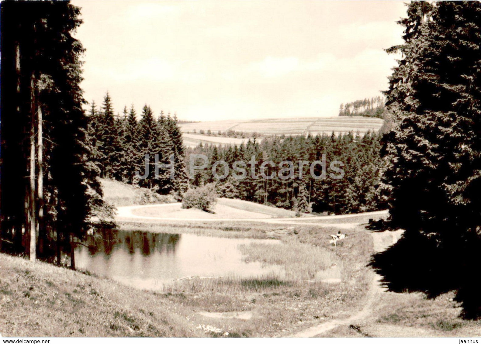 Hinternah - Thur Wald - Am Kohlbachsteich - Germany DDR - used - JH Postcards