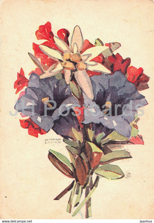 illustration by Hermann Limmer - Alpenblumen - flowers - old postcard - 1948 - Germany - used - JH Postcards
