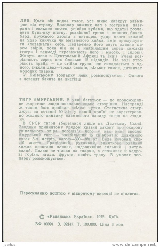 Lion - Tiger - Kiev Kyiv Zoo - 1976 - Ukraine USSR - unused - JH Postcards