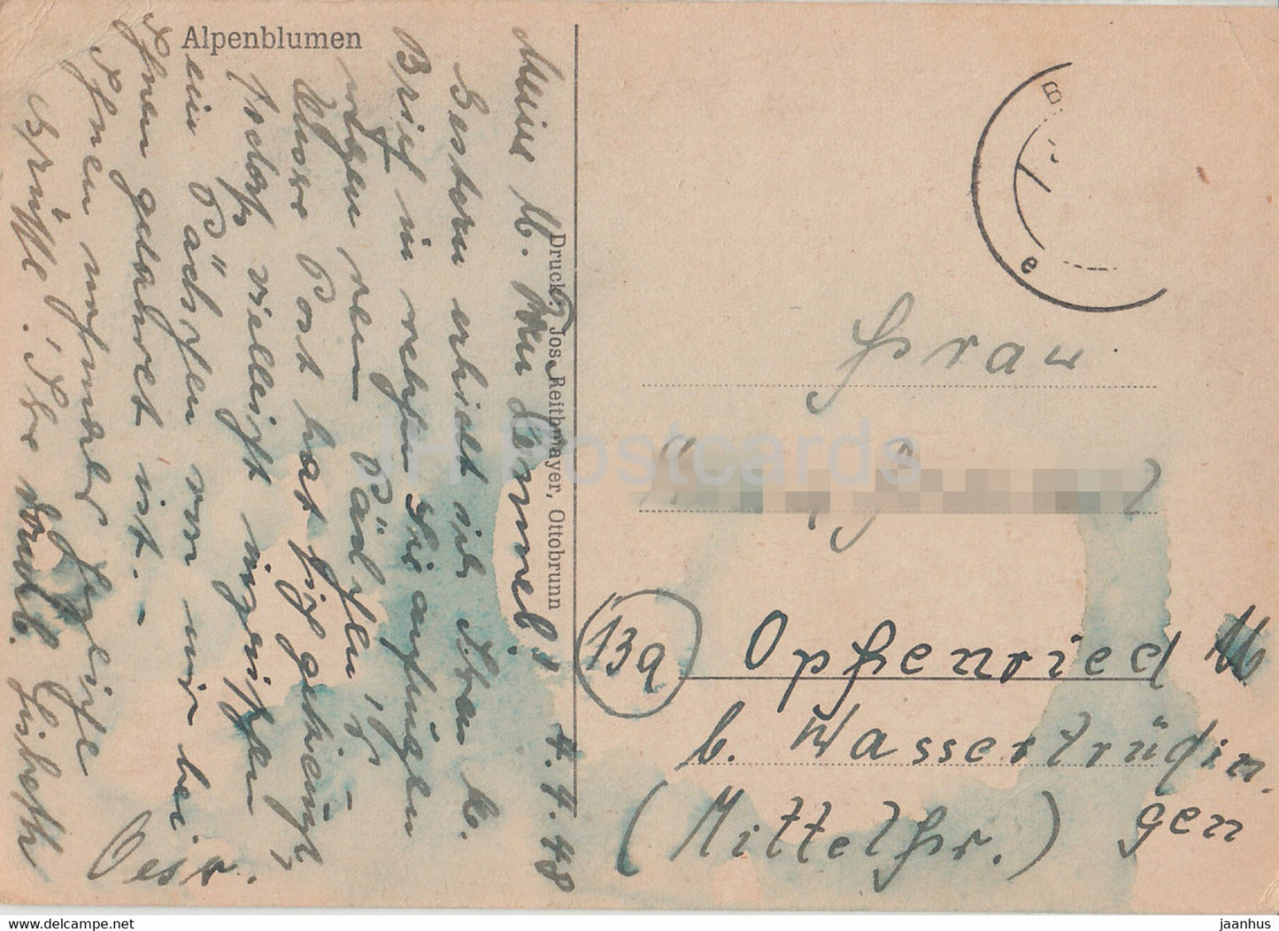 illustration by Hermann Limmer - Alpenblumen - flowers - old postcard - 1948 - Germany - used