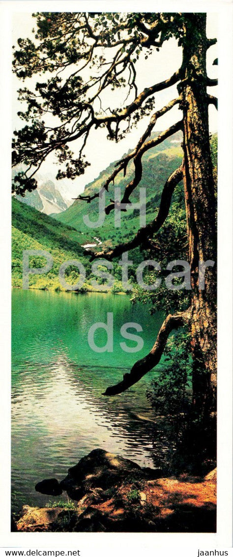 Teberda Nature Reserve - Lakes - 1982 - Russia USSR - unused - JH Postcards