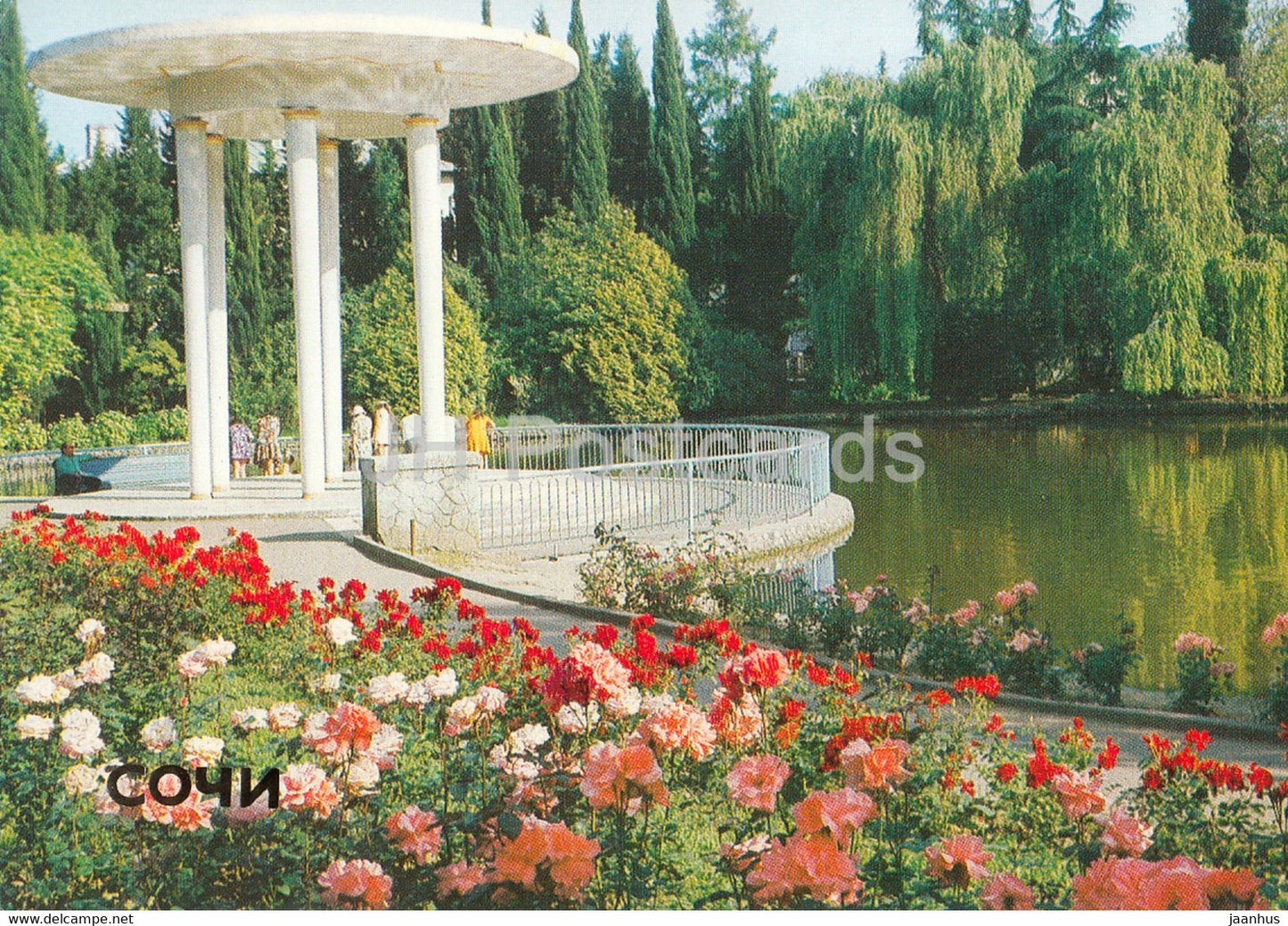 Sochi - Arboretum - Swan Lake - 1984 - Russia USSR - unused - JH Postcards