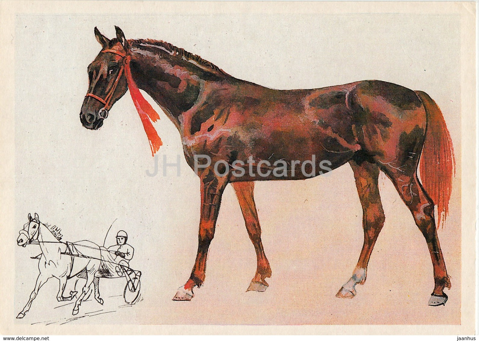 Russian Trotter Horse - illustration by A. Glukharev - horses - animals - 1988 - Russia USSR - unused - JH Postcards