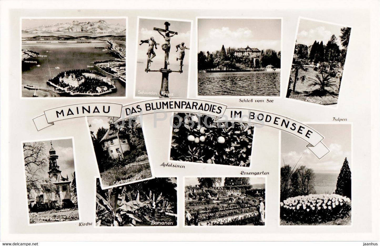 Mainau - Das Blumenparadies im Bodensee - Palmen - Tulpen - Kirche - Bananen - old postcard - Germany - unused - JH Postcards