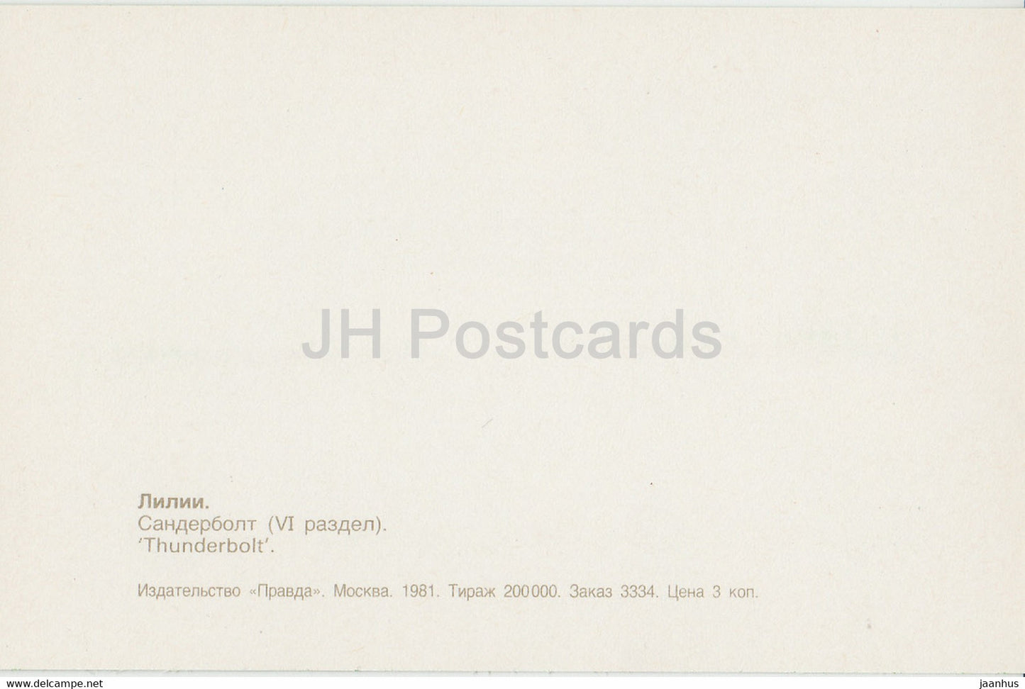 Thunderbolt - lily - flowers - 1981 - Russia USSR - unused