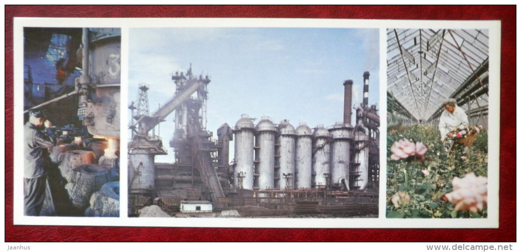 Petrovsky ironworks - greenhouse - Dnepropetrovsk - Dnipropetrovsk - 1976 - Ukraine USSR - unused - JH Postcards